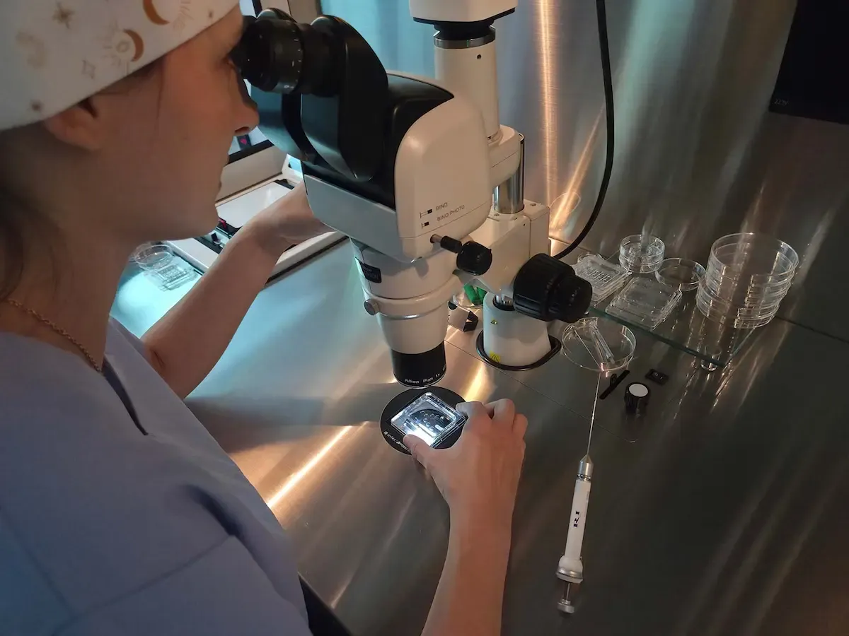 Embriolog prati jajne ćelije i embrione u IVF laboratoriji