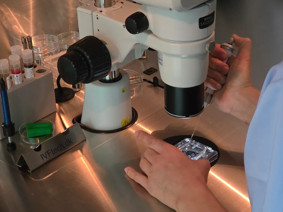 Rad embriologa sa jajnim ćelijama pod mikroskopom u IVF laboratoriji